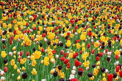 PS5 Pro国行版官宣：10月29日发售 双11活动价5099元